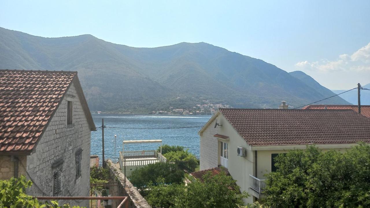 Apartments Vukasovic Kotor Zewnętrze zdjęcie