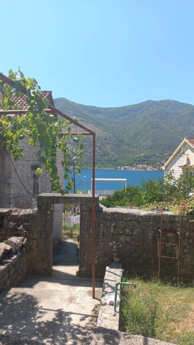 Apartments Vukasovic Kotor Zewnętrze zdjęcie