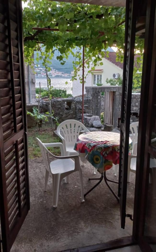 Apartments Vukasovic Kotor Zewnętrze zdjęcie