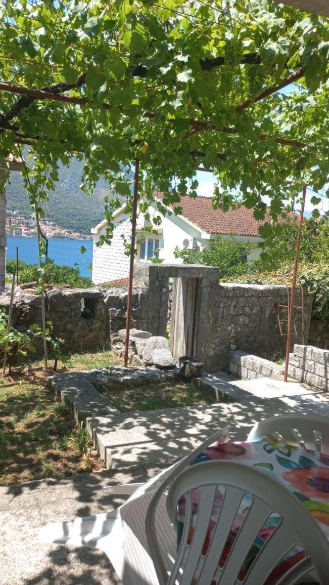 Apartments Vukasovic Kotor Zewnętrze zdjęcie